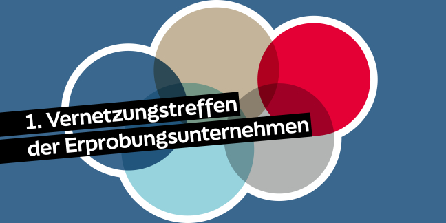 Eine bunte Wolke aus fünf Kreisen und der Text "1. Vernetzungstreffen der Erprobungsunternehmen"